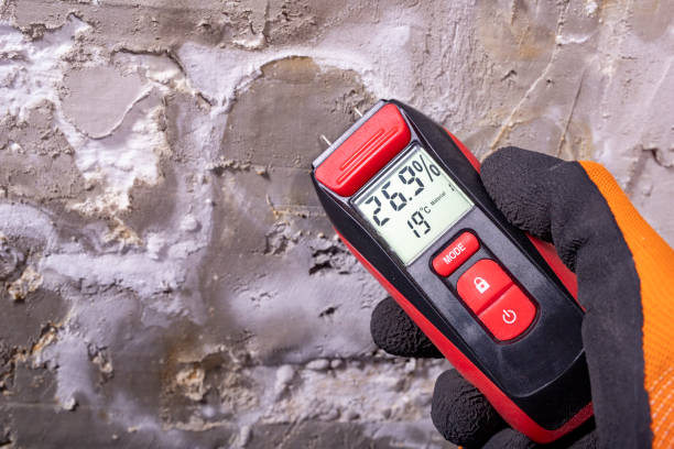  Maine, WI Mold Removal Pros