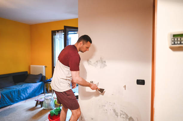 Best HVAC Mold Remediation in Maine, WI